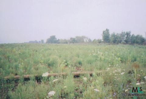 0 Seyforth Road Silverwood, MI 48760 - Photo 1 of 1 884656.JPG