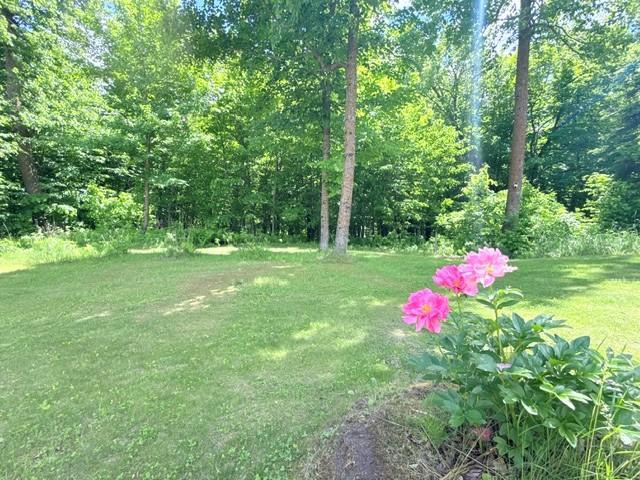24353 Hines Road Northeast Hines, MN 56647 - Photo 7 of 22
