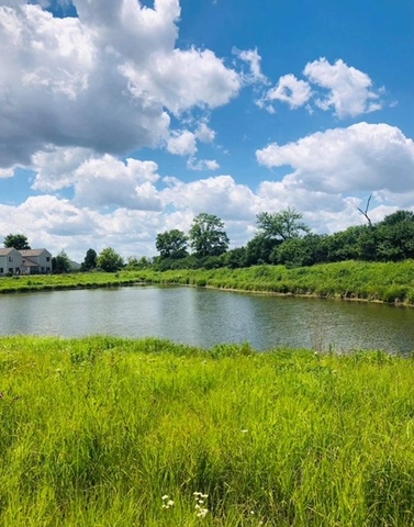 2431 Roxbury Lane Montgomery, IL 60538 - Photo 13 of 13 a view of a lake