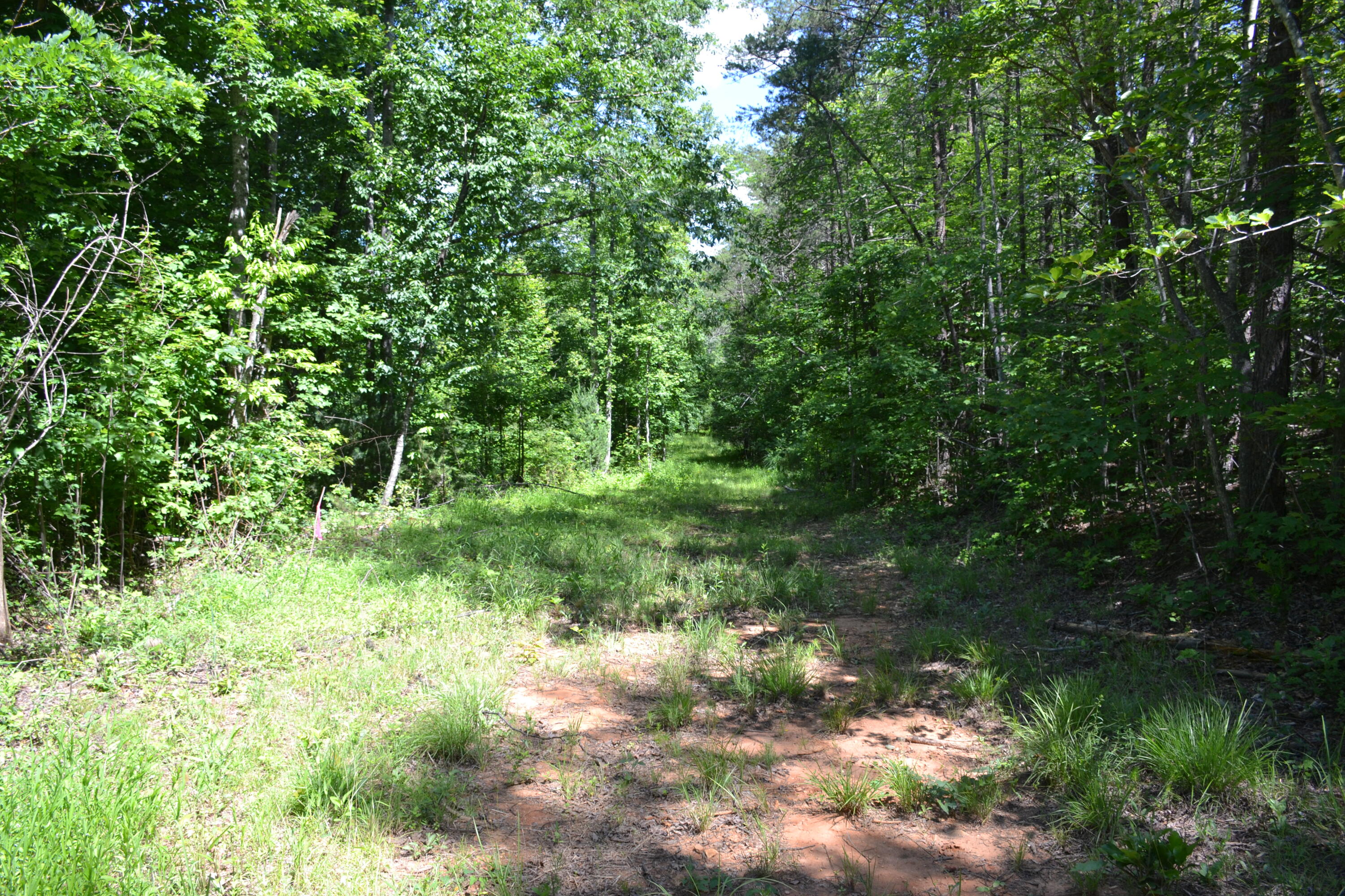 94 Bryants Lake Road Bassett, VA 24055 - Photo 43 of 46 DSC_0050