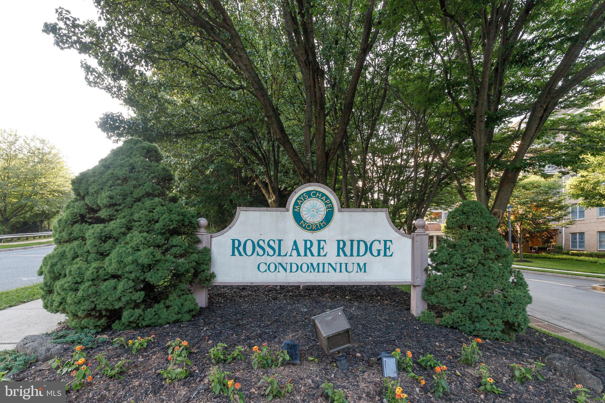 Rosslare Ridge