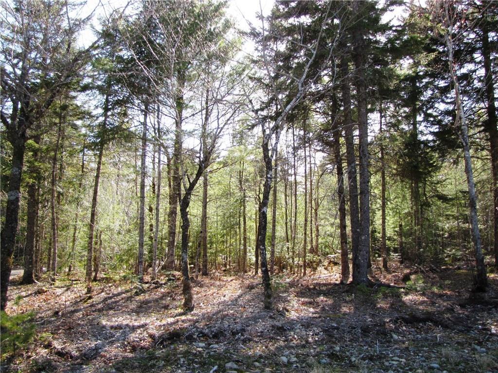 0 Kettle Ridge Road Northfield, ME 04654 - Photo 11 of 11 Photo