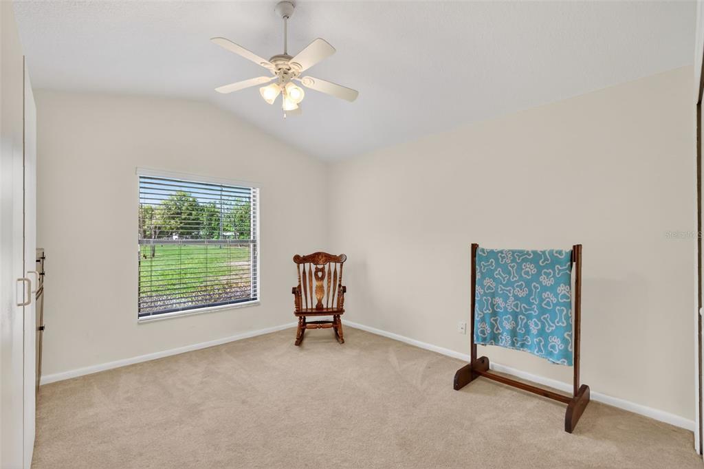 32510 Whitney Road Leesburg, FL 34748 - Photo 43 of 55