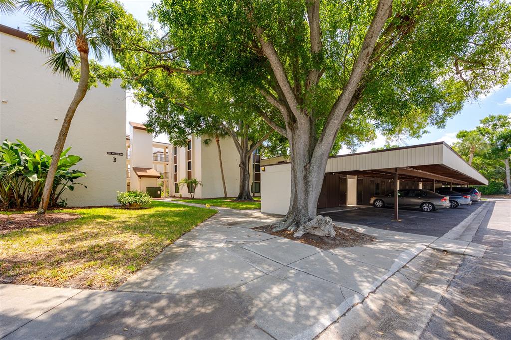 2207 Belleair Road, Unit B30 Clearwater, FL 33764 - Photo 34 of 39 a view of a house with backyard and tree