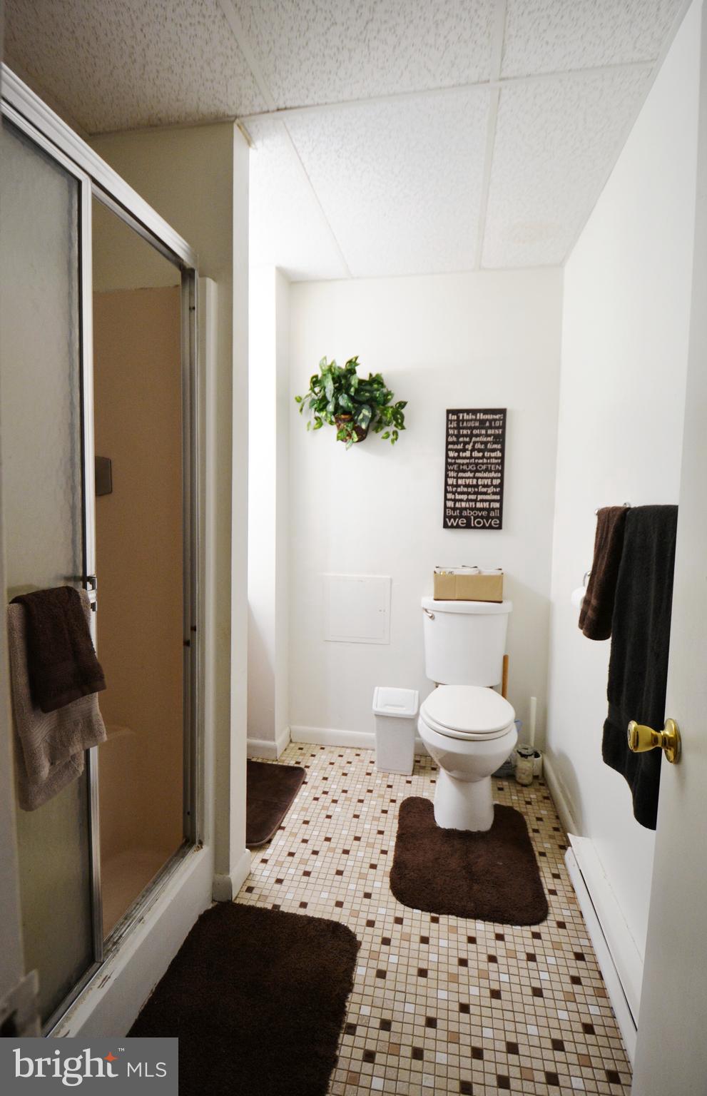 15522 Liberty Road Mount Airy, MD 21771 - Photo 31 of 53 Bath2 shower w/ seats, lower level