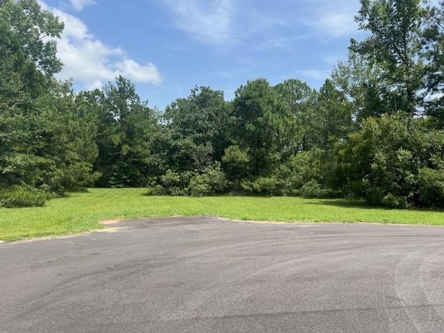 24520 Paradise Lane Lacombe, LA 70445 - Photo 2 of 9