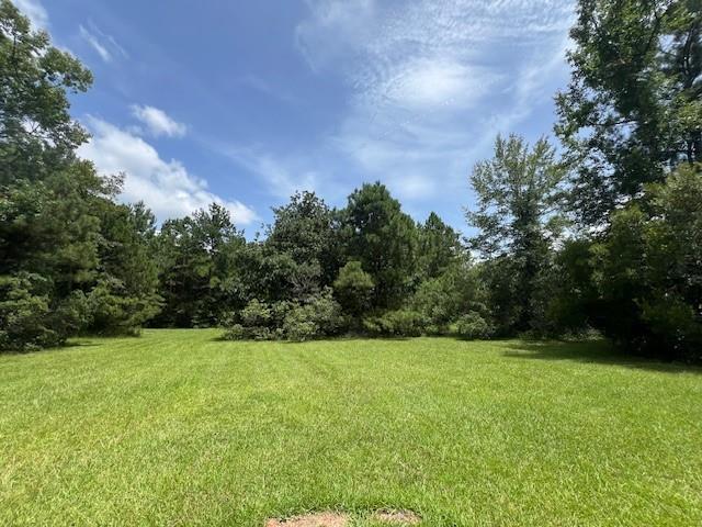 24520 Paradise Lane Lacombe, LA 70445 - Photo 4 of 9