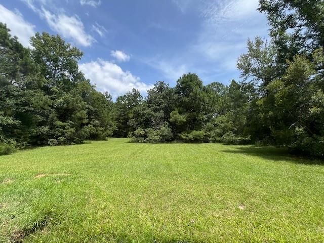 24520 Paradise Lane Lacombe, LA 70445 - Photo 5 of 9