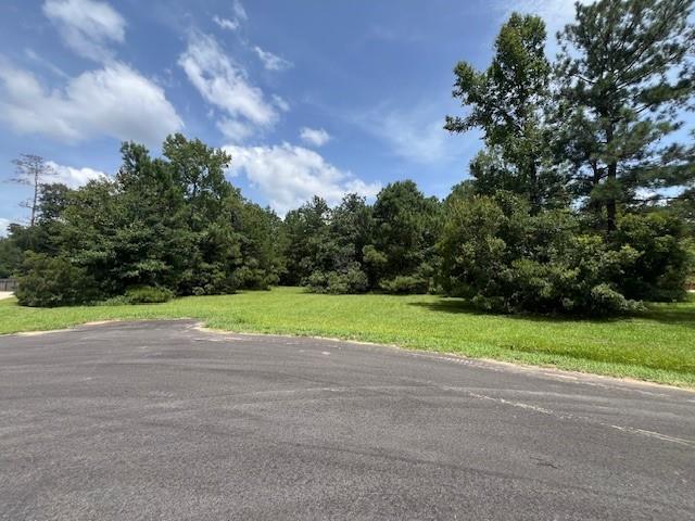 24520 Paradise Lane Lacombe, LA 70445 - Photo 6 of 9