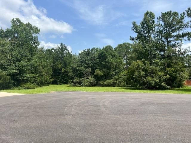 24520 Paradise Lane Lacombe, LA 70445 - Photo 8 of 9