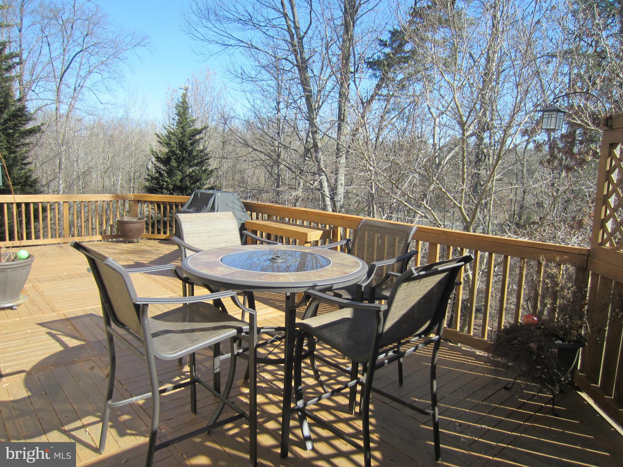 6 Rideout Court Gaithersburg, MD 20877 - Photo 2 of 30 Three tiered deck