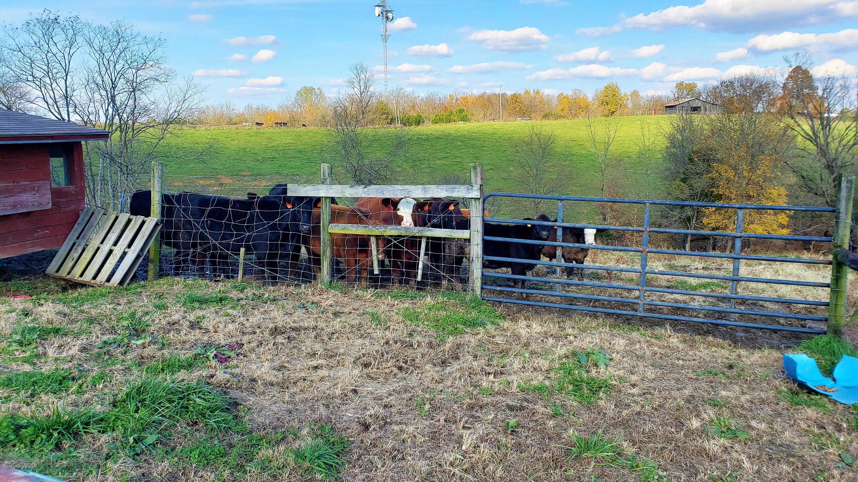 8298 Vigo Road Bagdad, KY 40003 - Photo 20 of 57 1-8d