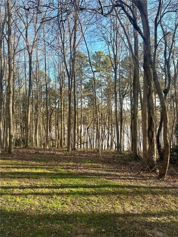 201 Lookover Drive, Unit 201 Anderson, SC 29621 - Photo 15 of 22 Lakeview