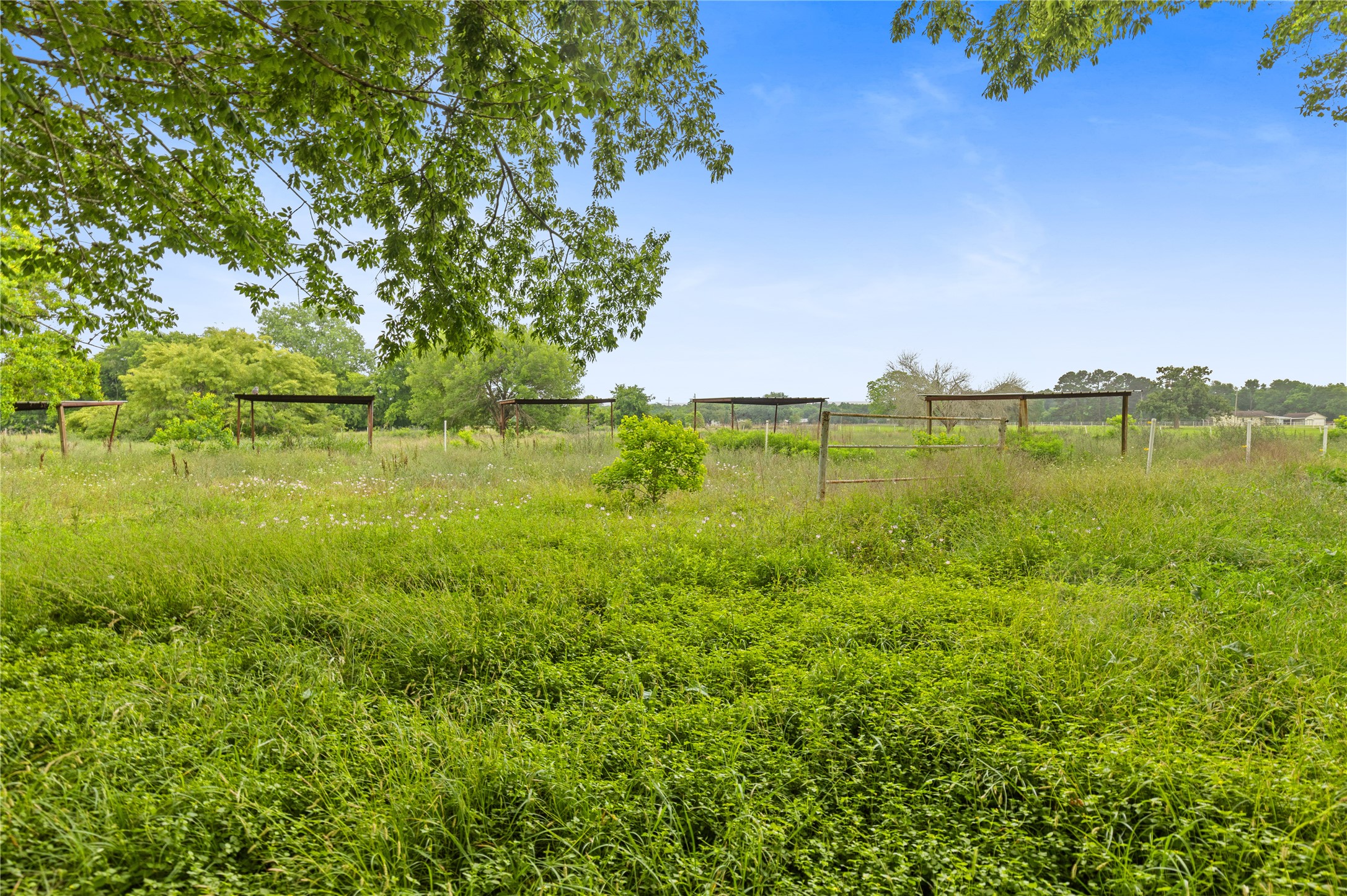 12043 Anderson Road Willis, TX 77318 - Photo 19 of 23