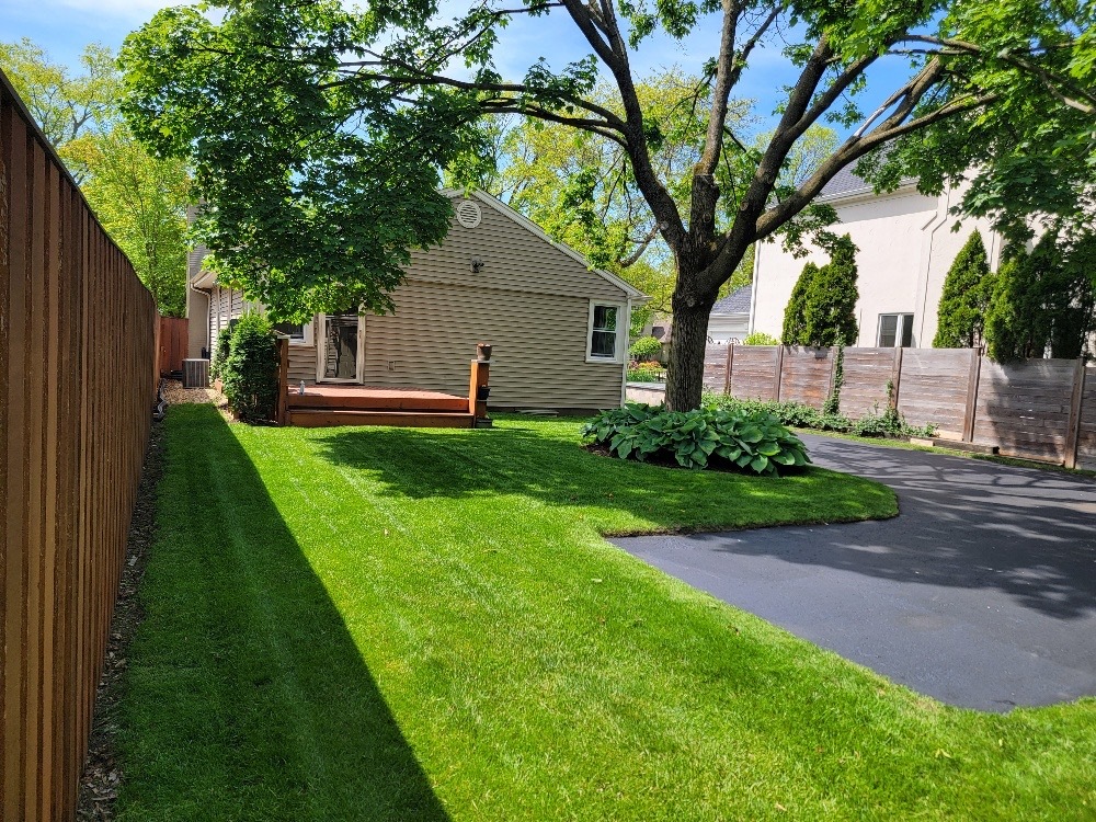 229 Fuller Road Hinsdale, IL 60521 - Photo 3 of 20