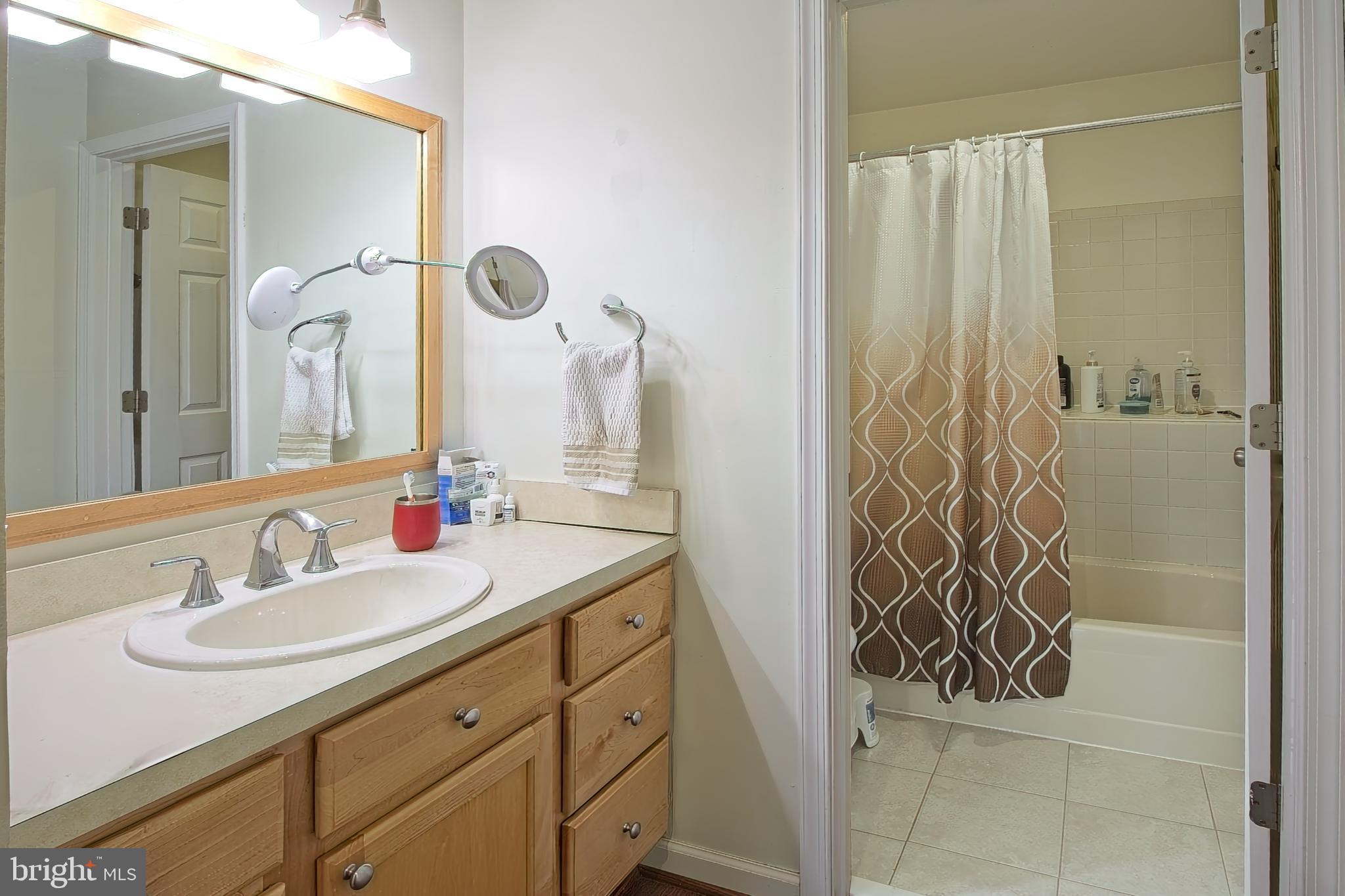 11045 Villaridge Court Reston, VA 20191 - Photo 20 of 38 Primary bathroom with separate vanity