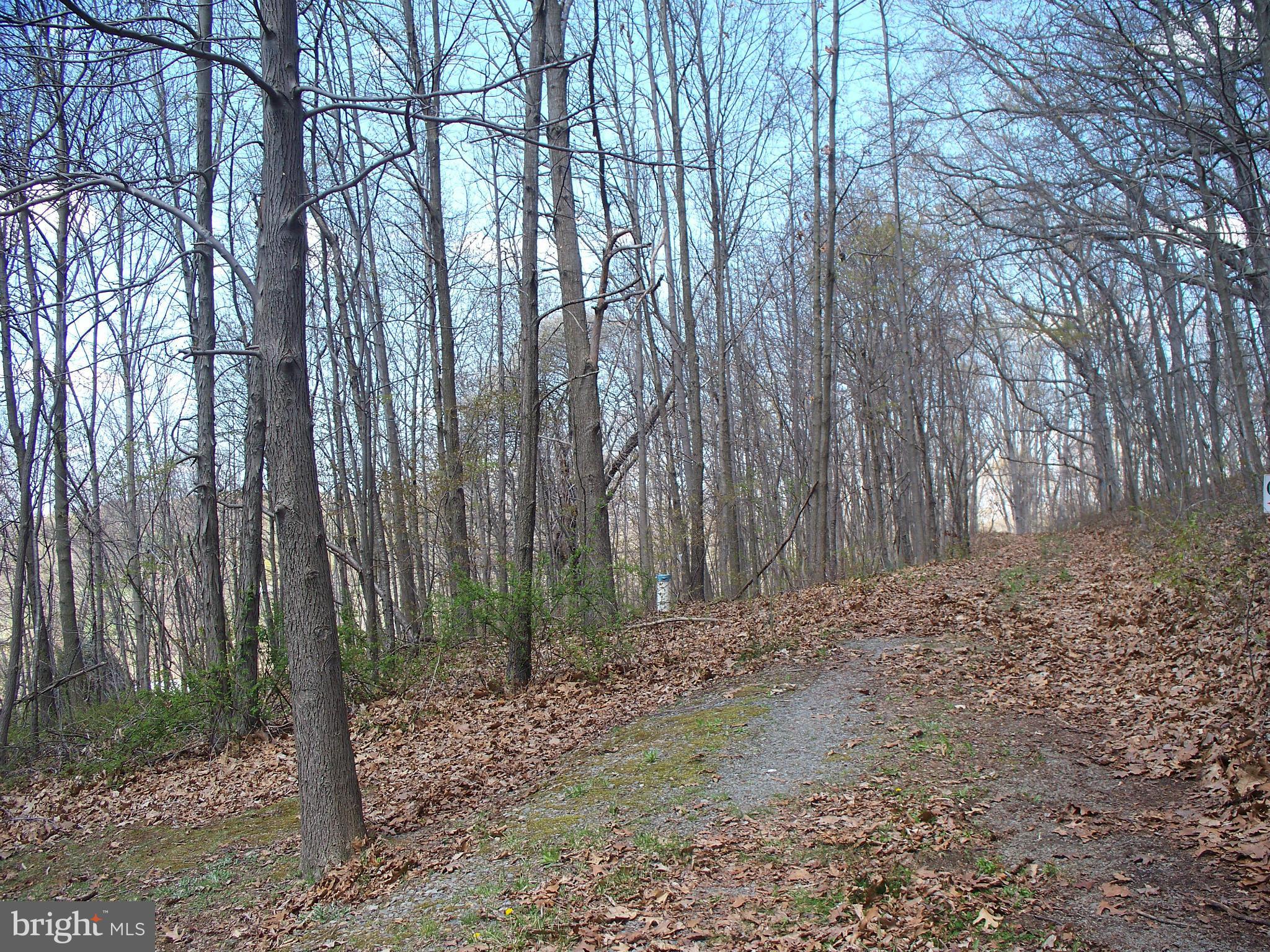 5162 Buttermilk Road Pylesville, MD 21132 - Photo 4 of 4 View