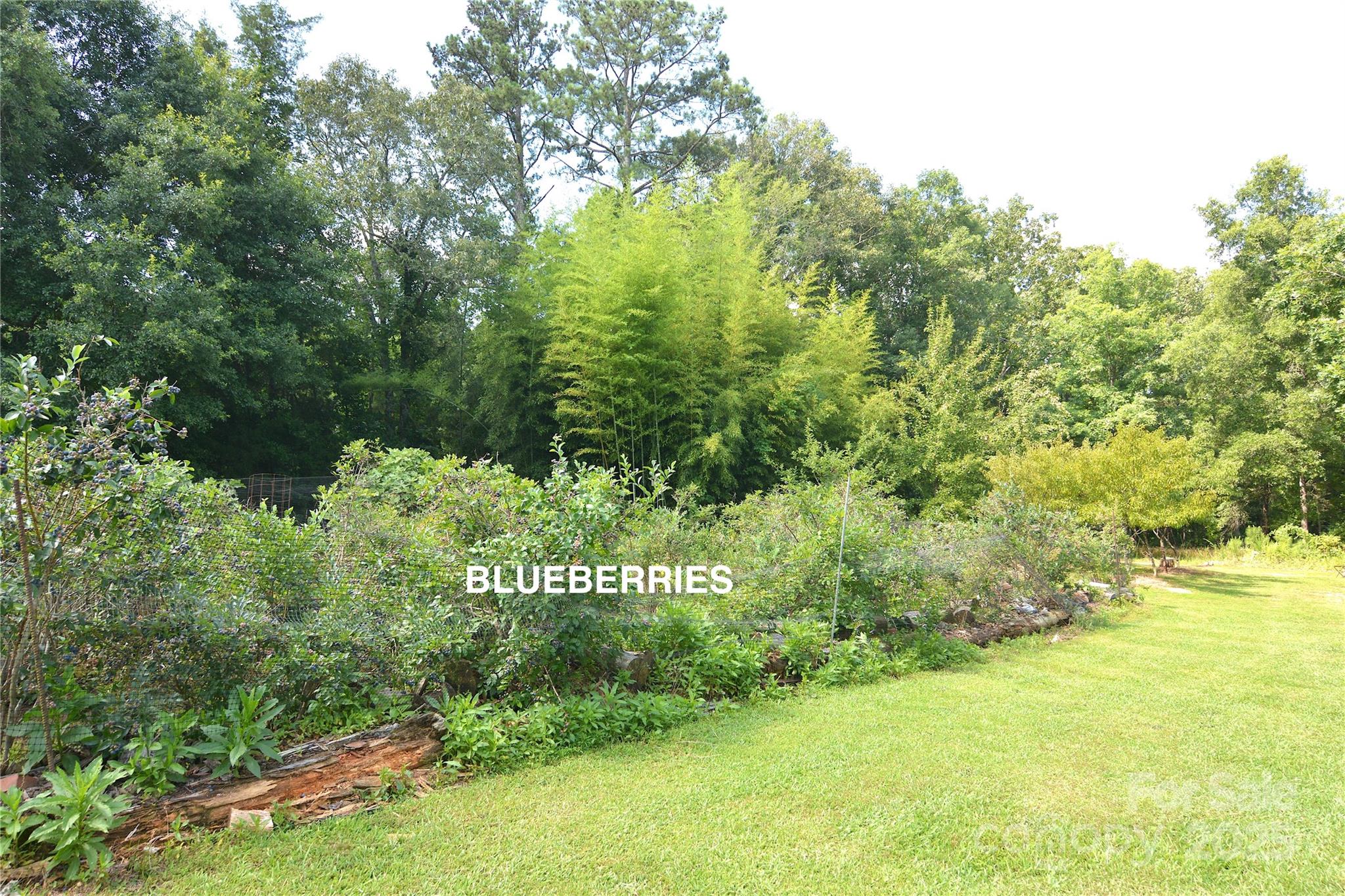1191 Saluda Road Chester, SC 29706 - Photo 27 of 35