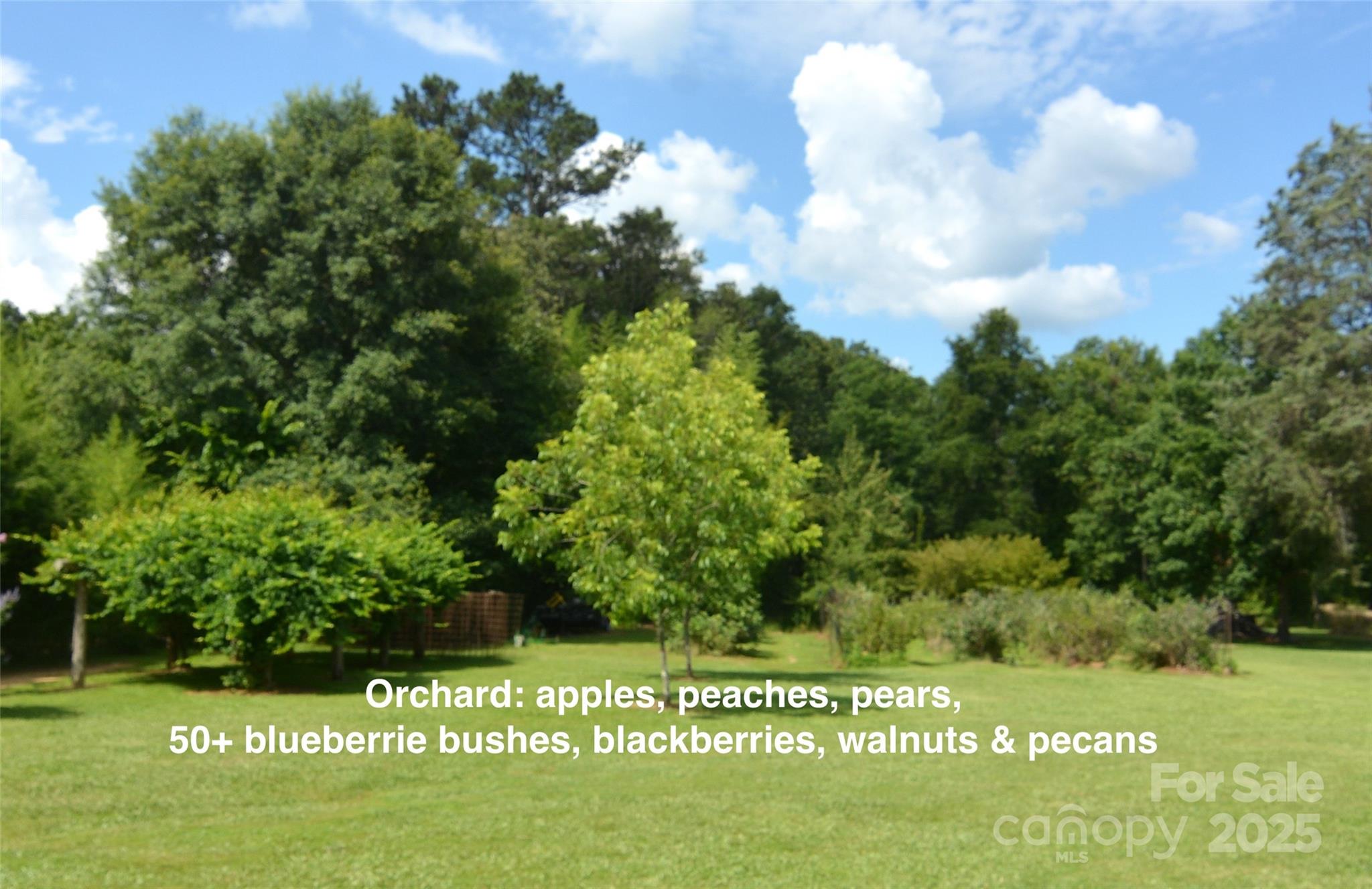 1191 Saluda Road Chester, SC 29706 - Photo 28 of 35