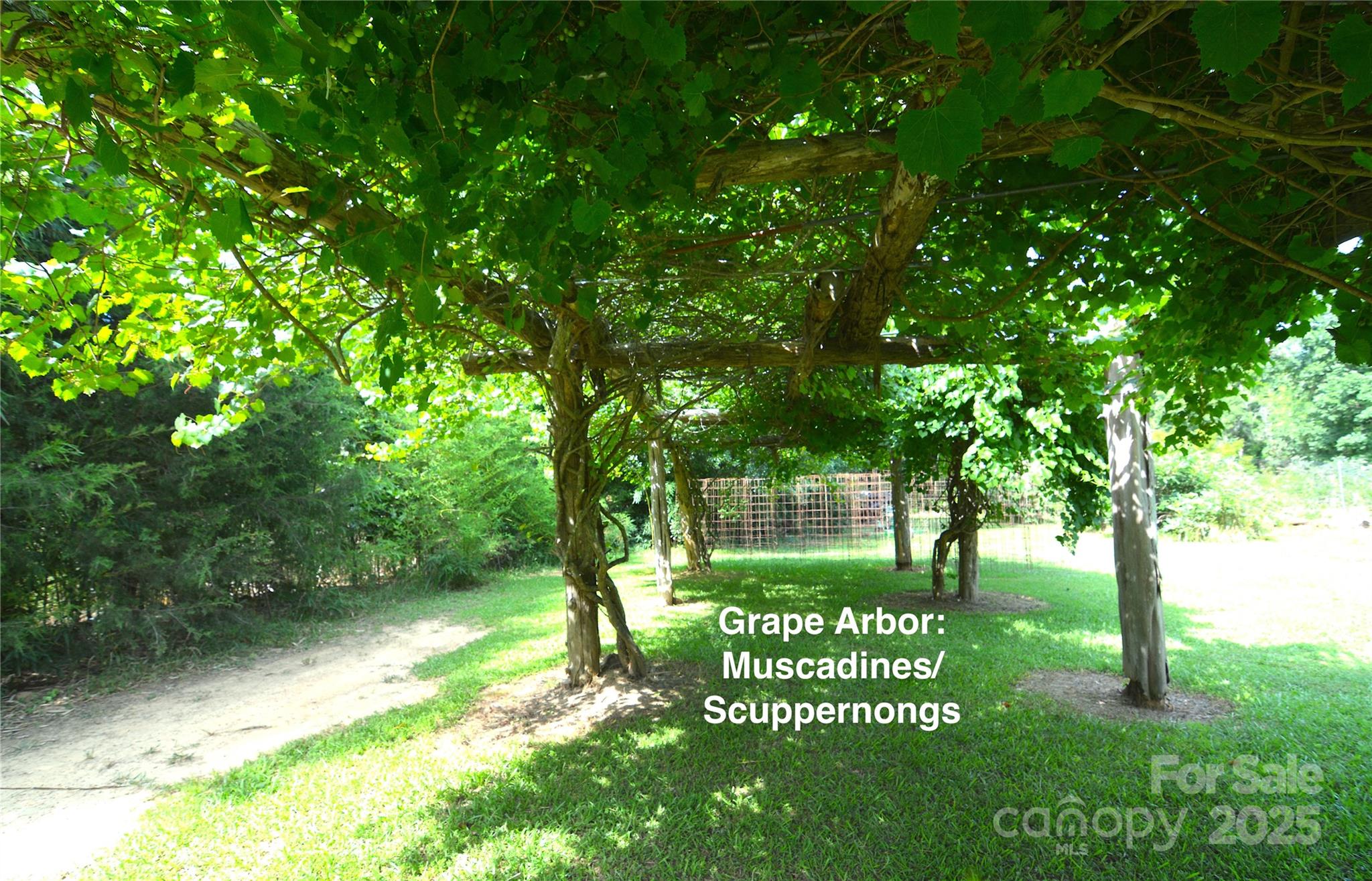 1191 Saluda Road Chester, SC 29706 - Photo 29 of 35