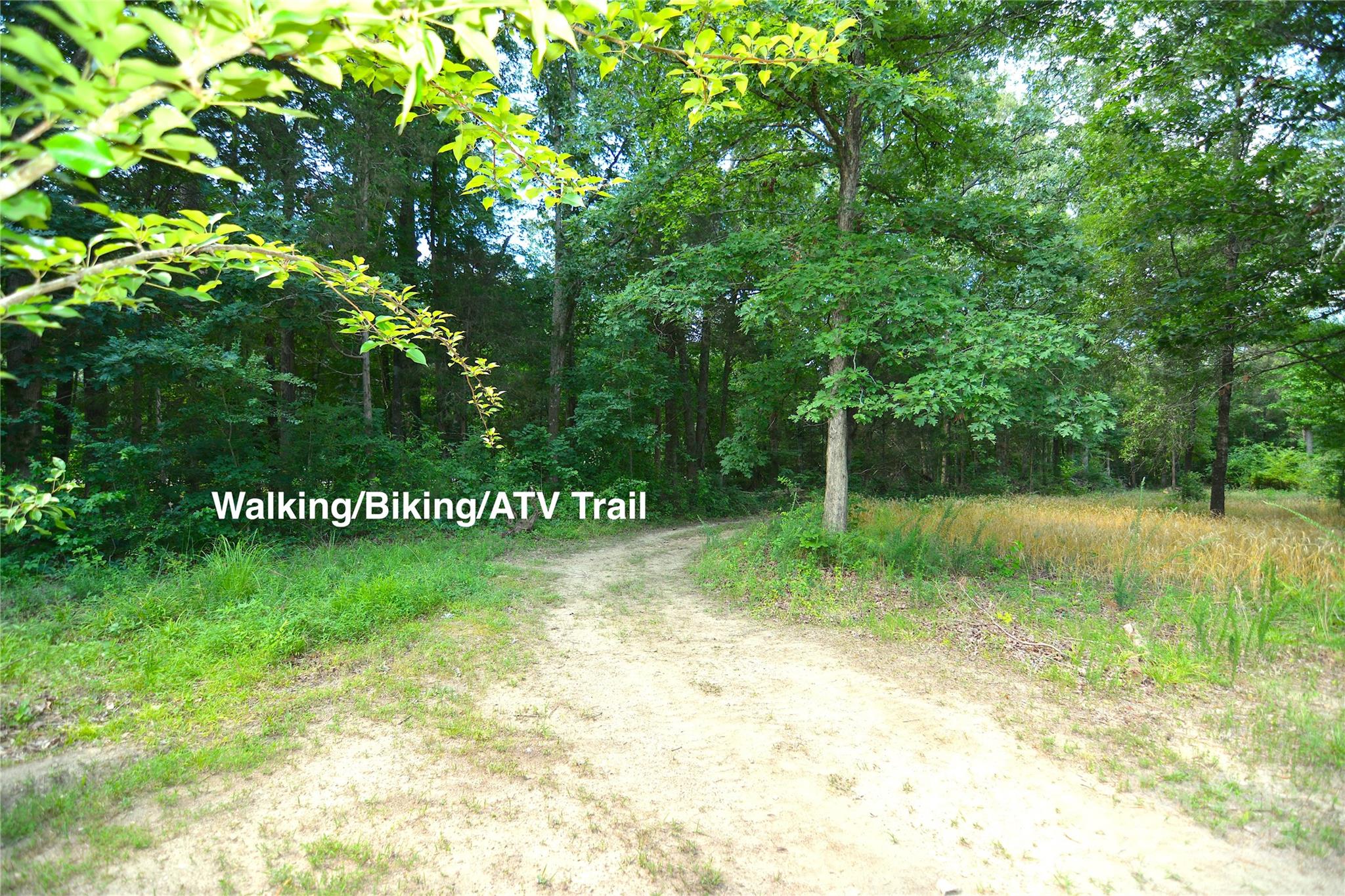 1191 Saluda Road Chester, SC 29706 - Photo 31 of 35