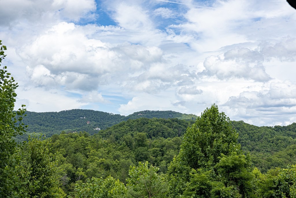 2548 Happy Hollow Road Sevierville, TN 37862 - Photo 4 of 60 Gallery Image 4