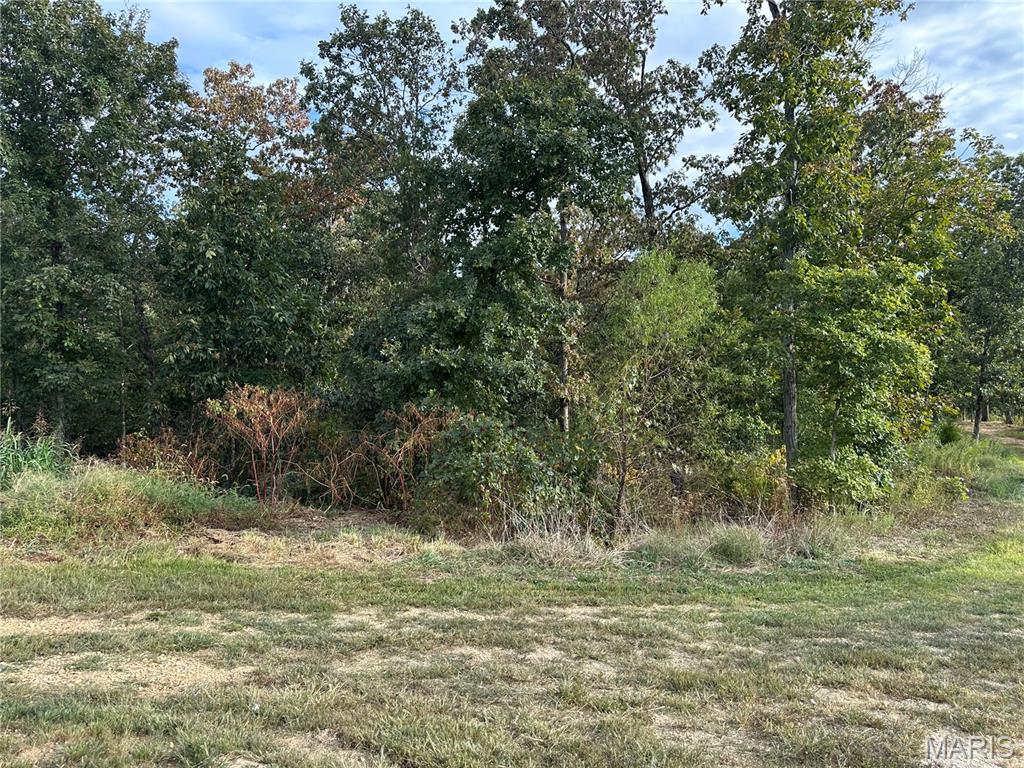 7770-7772 Antioch Road Gerald, MO 63037 - Photo 33 of 43