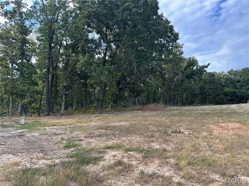 7770-7772 Antioch Road Gerald, MO 63037 - Photo 35 of 43