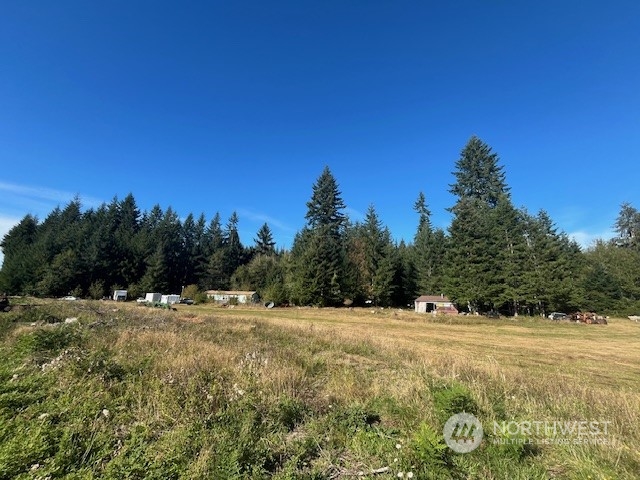 3190 East Hoquiam Road Hoquiam, WA 98550 - Photo 15 of 28 a view of outdoor space with trees all around