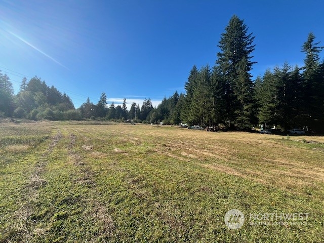 3190 East Hoquiam Road Hoquiam, WA 98550 - Photo 17 of 28 a view of yard with large trees