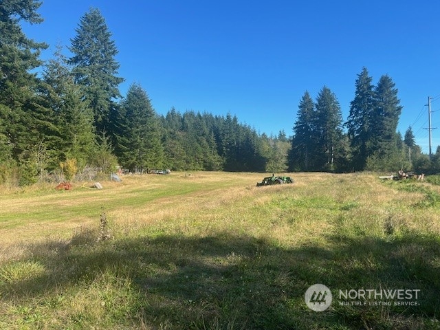 3190 East Hoquiam Road Hoquiam, WA 98550 - Photo 18 of 28 a view of outdoor space with trees