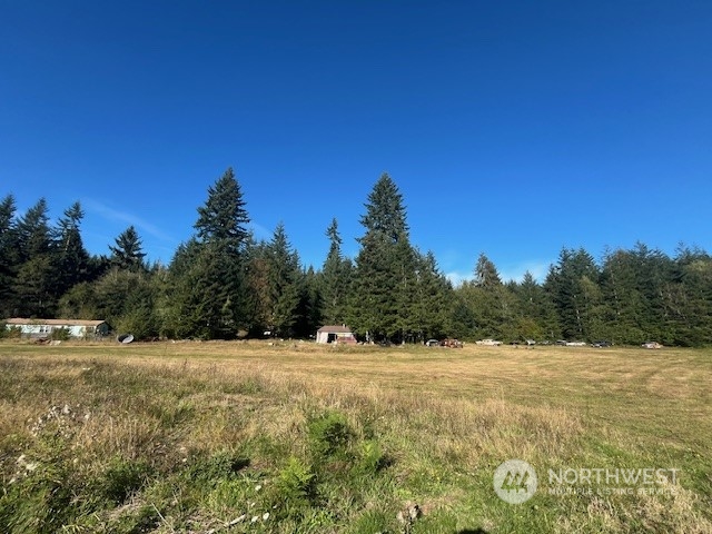 3190 East Hoquiam Road Hoquiam, WA 98550 - Photo 8 of 28 a view of basketball court with trees in the background