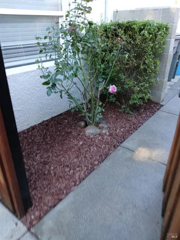 a plant that is in front of a window