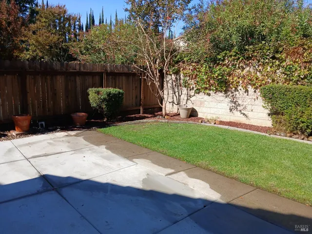 a view of a backyard with couches plants and large trees