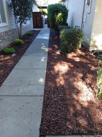 a view of a pathway with a yard
