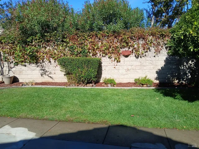 a view of a yard with potted plants