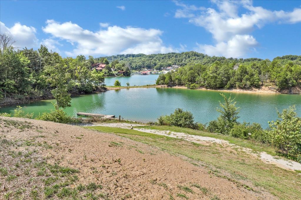 2571 Jim Henry Road Dandridge, TN 37725 - Photo 35 of 35 Gallery Image 35