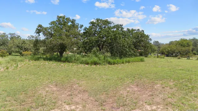 a view of a field with an trees