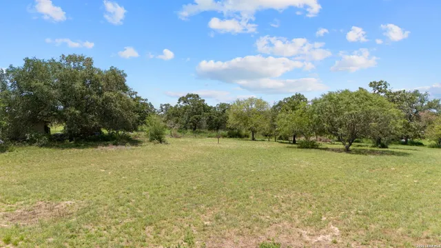 a view of a field with an trees in the background