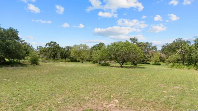 a view of a field with an trees in the background