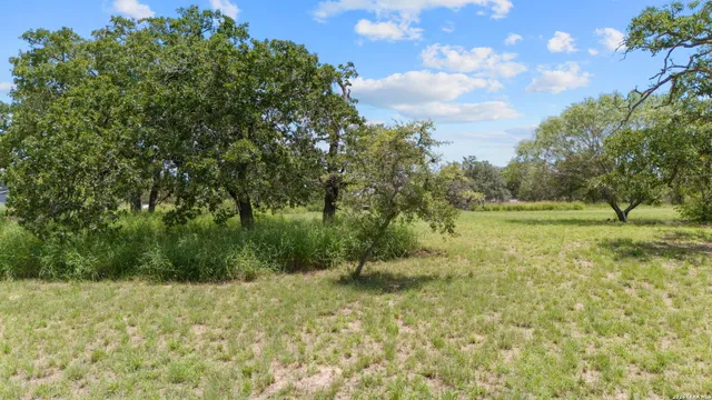 a view of yard with trees