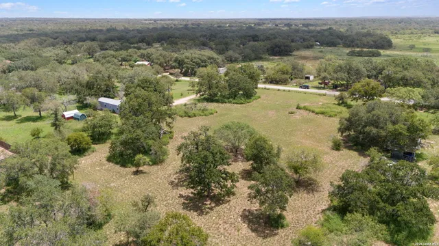 a view of a forest with a forest