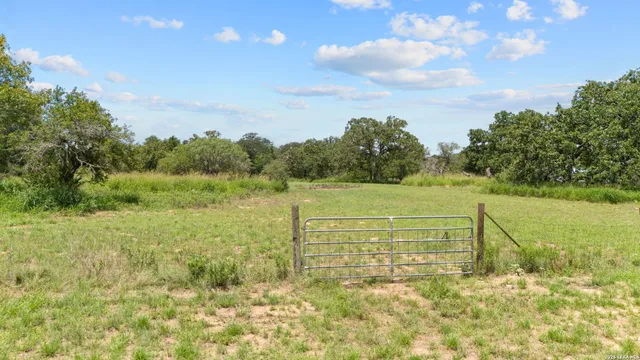 a view of an ocean from a yard