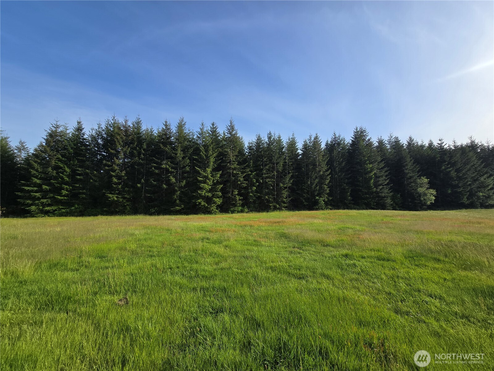 -nka East Satsop Road West Elma, WA 98541 - Photo 21 of 29