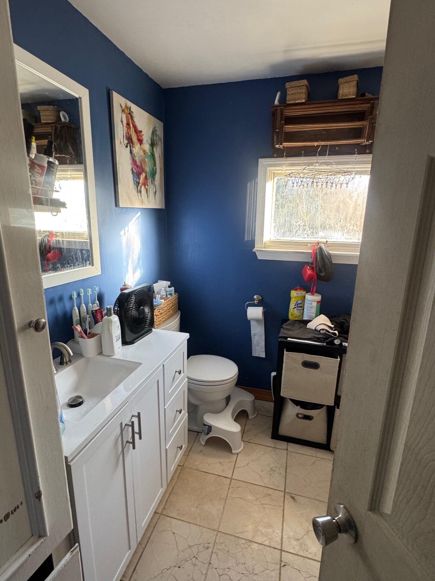 226 Laskey Road Ludlow, ME 04730 - Photo 3 of 17 Bathroom (226 Laskey Road) I