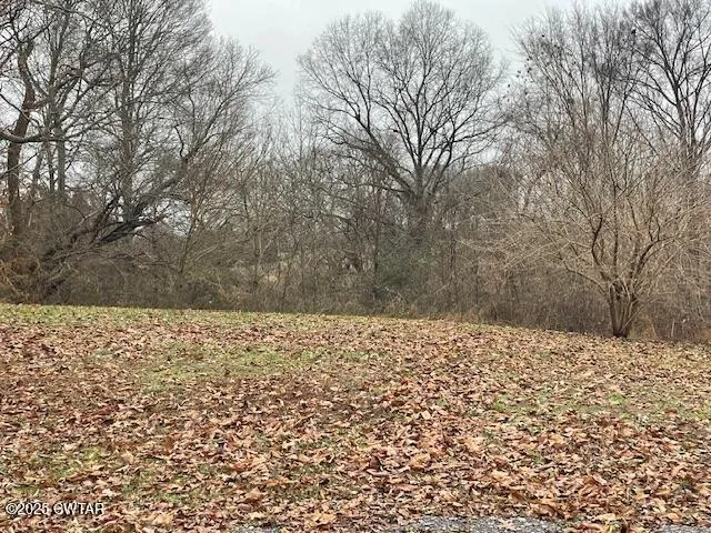 a view of a backyard with large trees