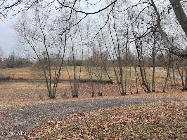 157 Doster Road McKenzie, TN 38201 - Photo 6 of 23 a view of a backyard with large trees