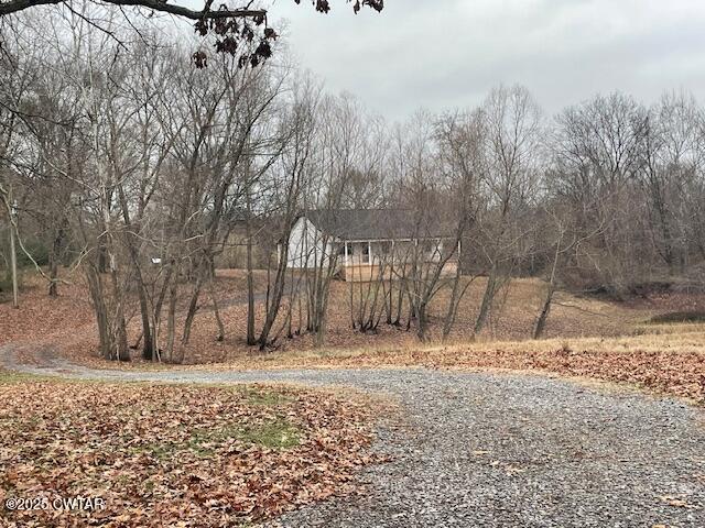 157 Doster Road McKenzie, TN 38201 - Photo 7 of 23 a street view with large trees