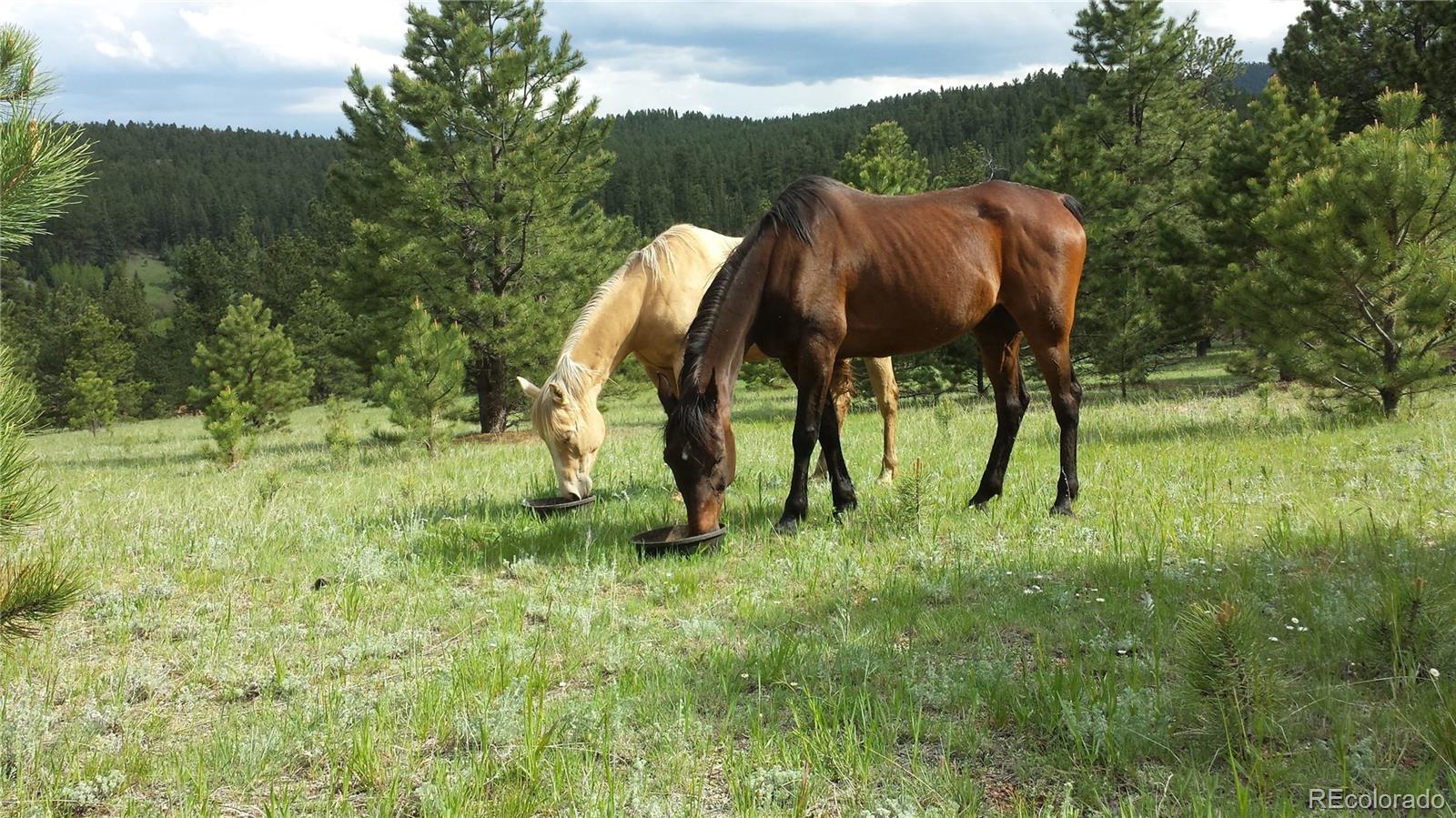 2230 County Road 72 Bailey, CO 80421 - Photo 37 of 50