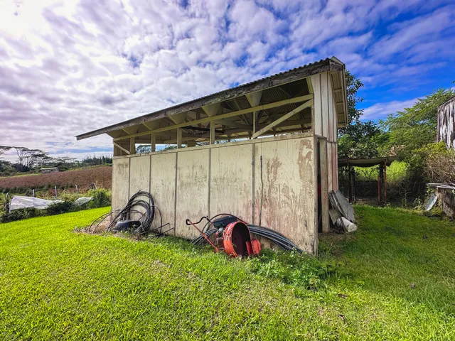 a view of a backyard with a garden and plants